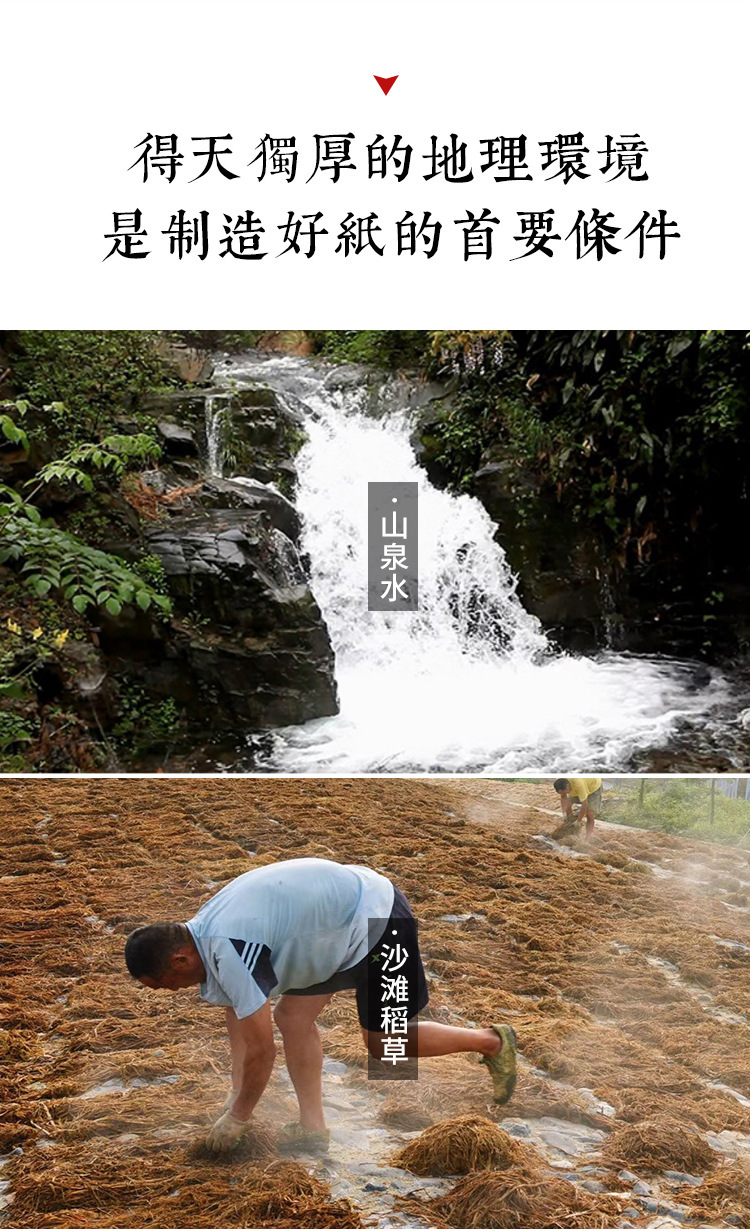 大规格宣纸_06.jpg